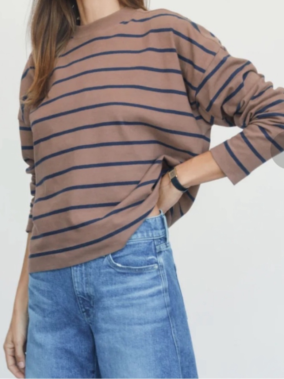 AYR The Half Day  Long-Sleeve Crewneck Top in Brown and Navy stripe size s NWOT